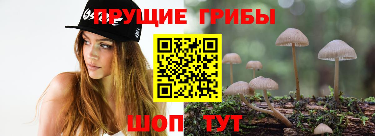 Острогожск  Псилоцибиновые грибы прущие грибы  цены наркотик  Вход с VPN  Псилоцибиновые грибы Psilocybine cubensis 