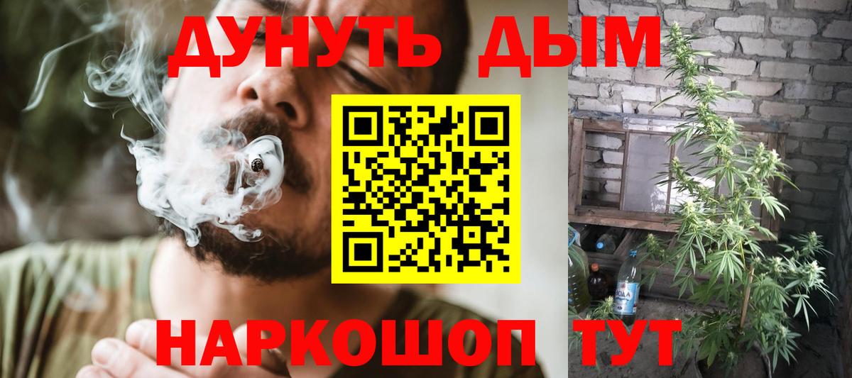 Бошки Шишки марихуана Острогожск
